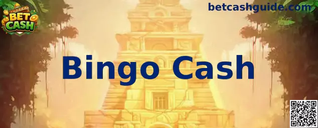 Interfaz representativa de Bingo Cash