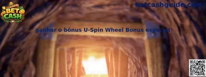 Información sobre U-Spin Wheel Bonus especial