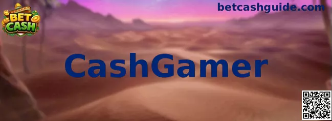 Información visual sobre CashGamer