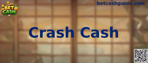 Interfaz ilustrativa del simulador Crash Cash