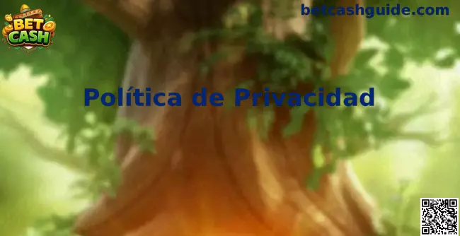 Privacidad Bet Cash México